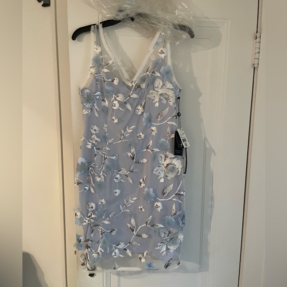 Adrianna Papell Dress - Brand New (tags on)
